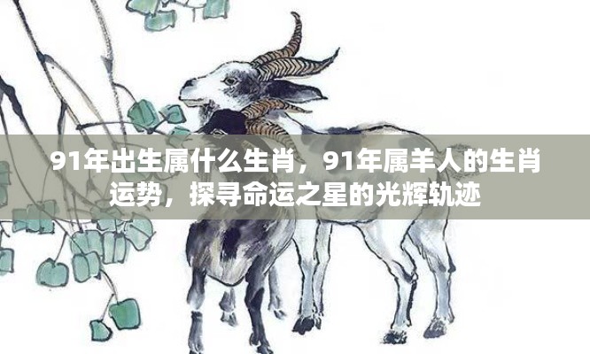 91年出生属什么生肖，91年属羊人的生肖运势，探寻命运之星的光辉轨迹