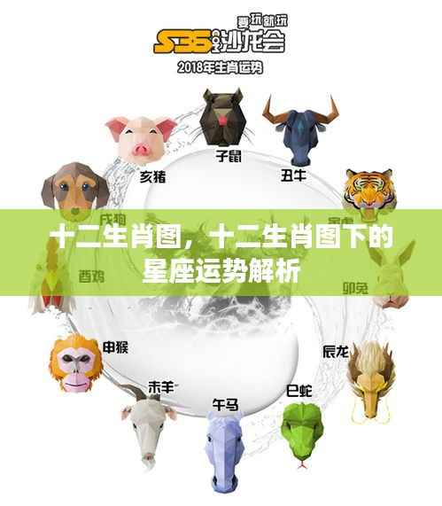 十二生肖图与星座运势解析揭秘