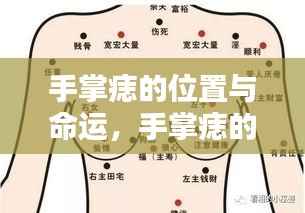 手掌痣的位置与命运，揭示人生潜在线索