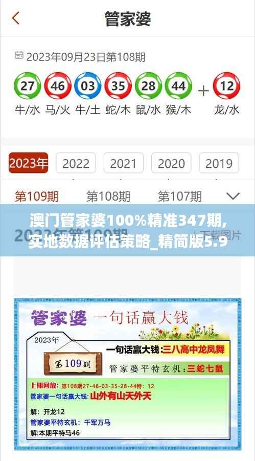 澳门管家婆100%精准347期,实地数据评估策略_精简版5.929