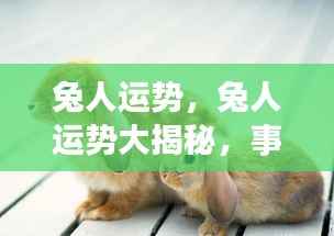 兔年运势大揭秘，事业腾飞，爱情甜蜜，兔人运势亨通