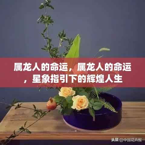属龙人的命运，星象指引下的灿烂辉煌人生