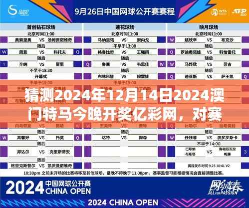 猜测2024年12月14日2024澳门特马今晚开奖亿彩网，对赛马专家观点的综合评估