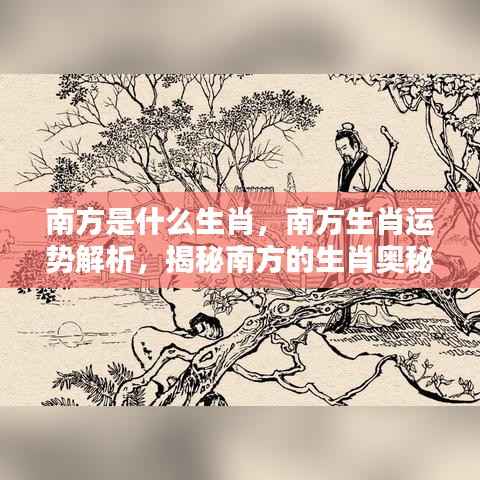 揭秘南方生肖奥秘与运势解析，探寻属于你的生肖运势特点