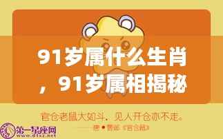 揭秘生肖运势，91岁属相揭晓与岁月流转下的生肖运势展望