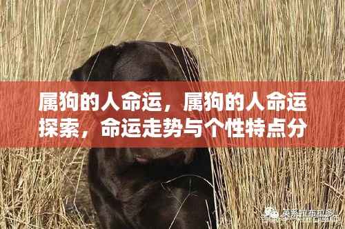 十全十美 第5页