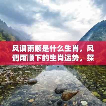 和谐共生，风调雨顺下的生肖运势与秘密探寻