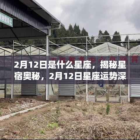 揭秘星宿奥秘，2月12日星座运势深度解析及星座属性揭秘