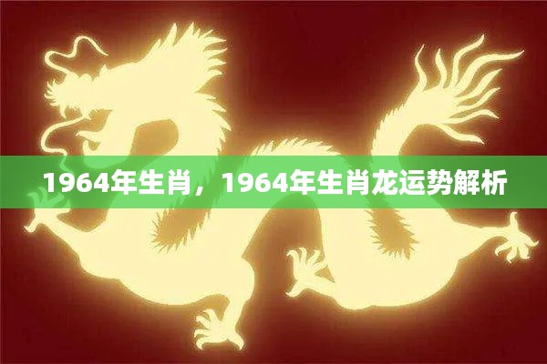 1964年属龙人的运势解析与生肖特点揭秘