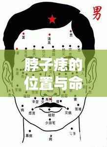 温柔敦厚 第5页