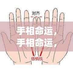 揭秘手相命运，手掌纹路中的生命密码探索