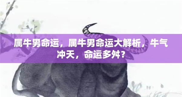 属牛男的命运深度解析，波折与机遇并存