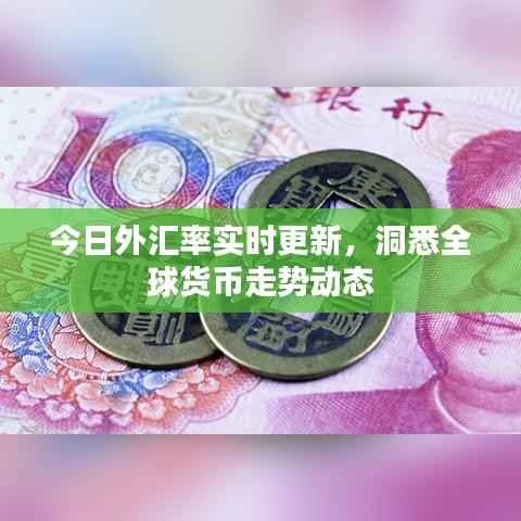 今日外汇率实时更新，洞悉全球货币走势动态