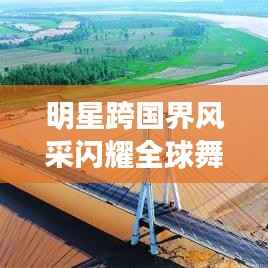 越鸟南栖 第5页