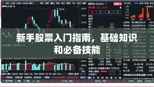 新手股票入门指南，基础知识和必备技能