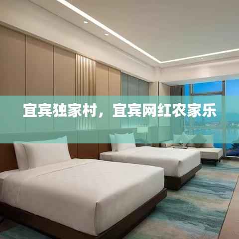 贵不可言 第4页