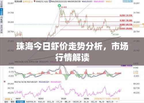 珠海今日虾价走势分析，市场行情解读