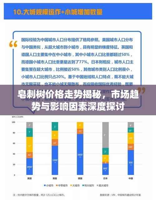 皂刺树价格走势揭秘，市场趋势与影响因素深度探讨