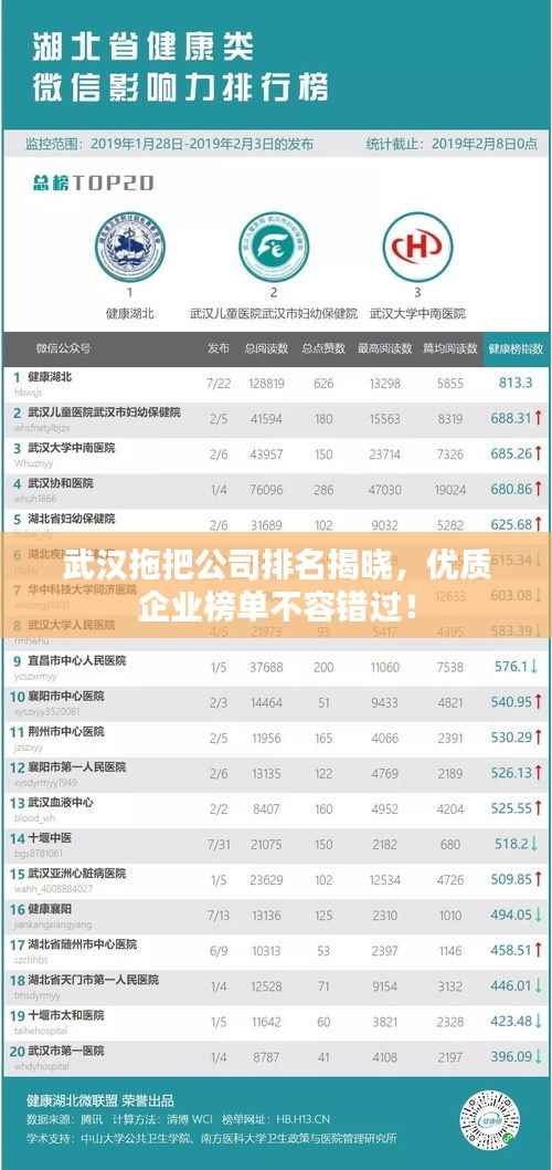 武汉拖把公司排名揭晓，优质企业榜单不容错过！