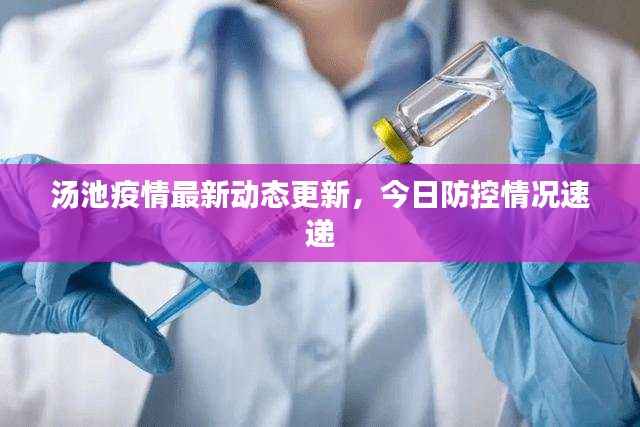 汤池疫情最新动态更新，今日防控情况速递