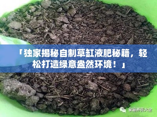 「独家揭秘自制草缸液肥秘籍，轻松打造绿意盎然环境！」